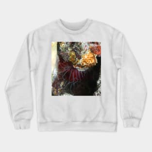 Rough Fileclam Crewneck Sweatshirt